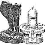 Arulmigu Saanthanayagi Samedha Naganathaswami temple